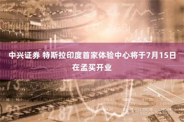 中兴证券 特斯拉印度首家体验中心将于7月15日在孟买开业